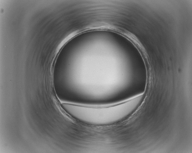 X0000086111242200703231108