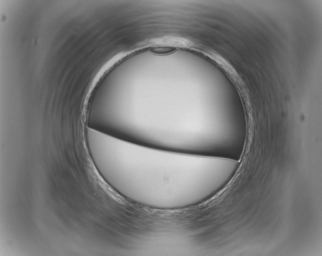 X0000086111248200703231108