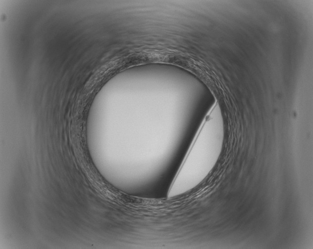 X0000086111249200703231107