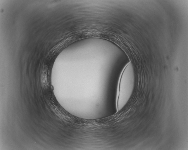 X0000086111250200703231107