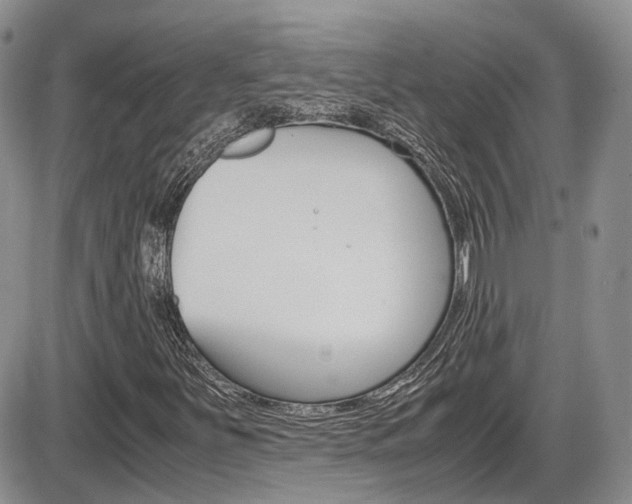 X0000086111251200703231107