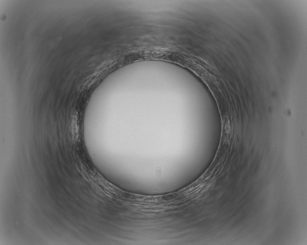 X0000086111252200703231107