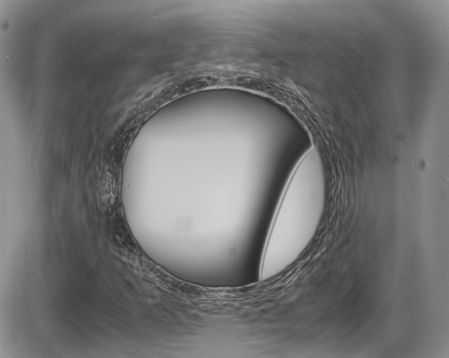 X0000086111253200703231107