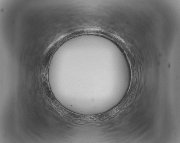 X0000086111255200703231107
