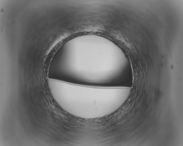 X0000086111256200703231107