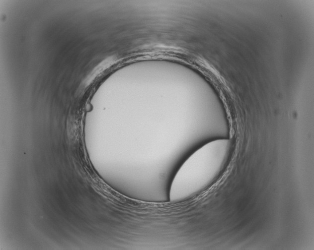 X0000086111259200703231107