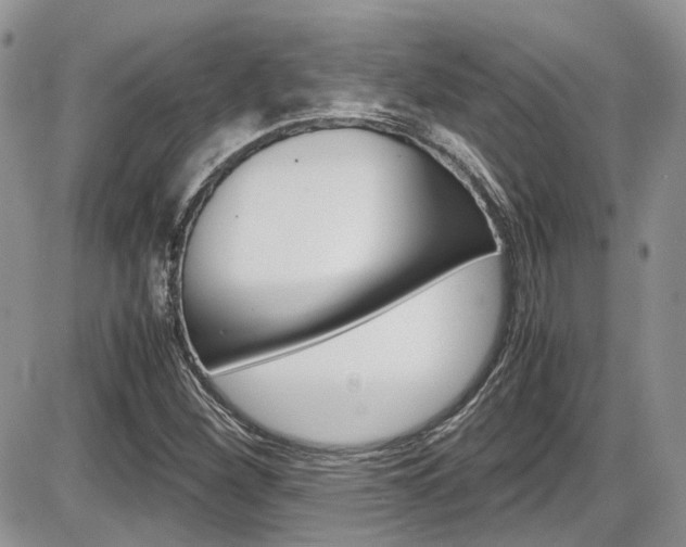 X0000086111260200703231107