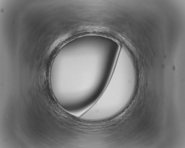X0000086111261200703231107
