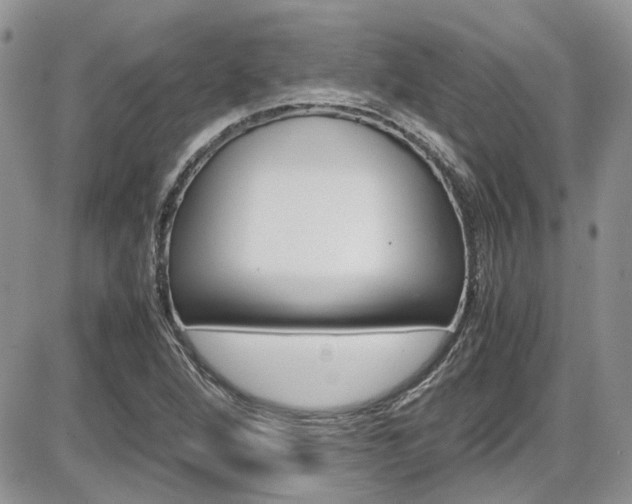 X0000086111264200703231107