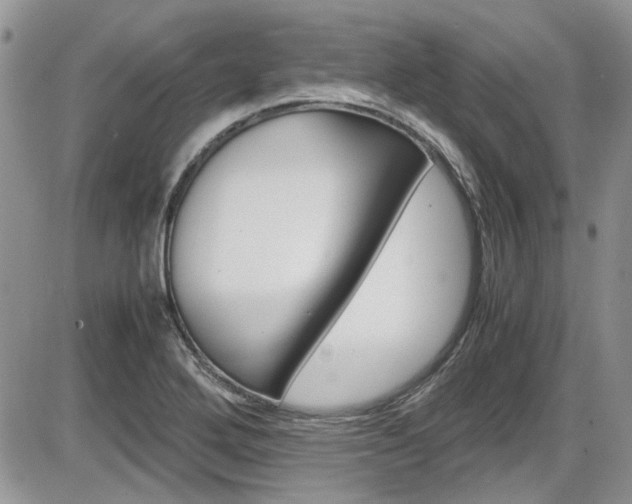 X0000086111272200703231107