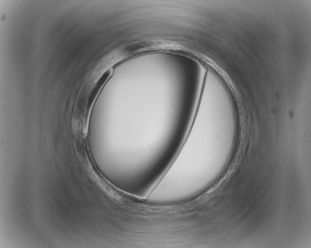 X0000086111281200703231107