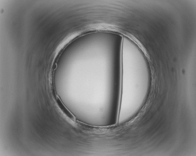 X0000086111285200703231107