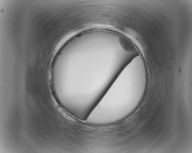 X0000086111287200703231107
