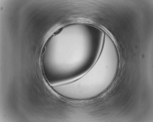 X0000086111293200703231107