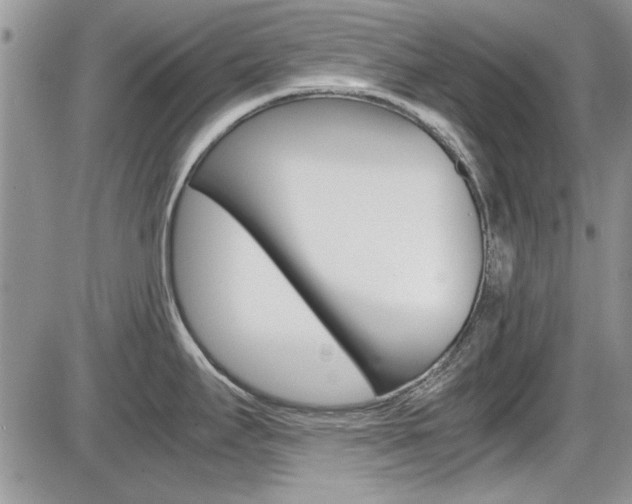 X0000086111295200703231107
