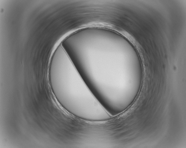 X0000086111296200703231107