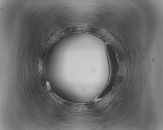 X0000086111298200703231106