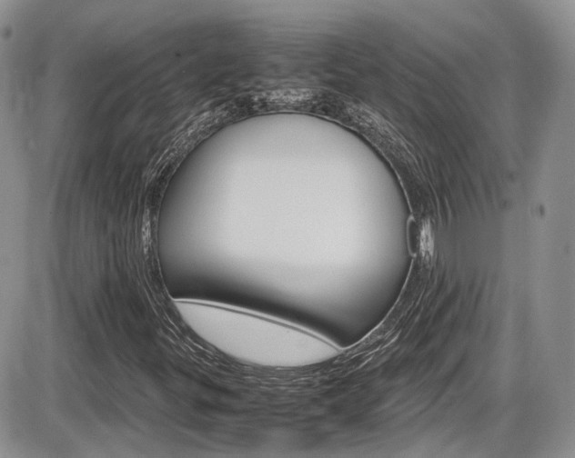 X0000086111299200703231106