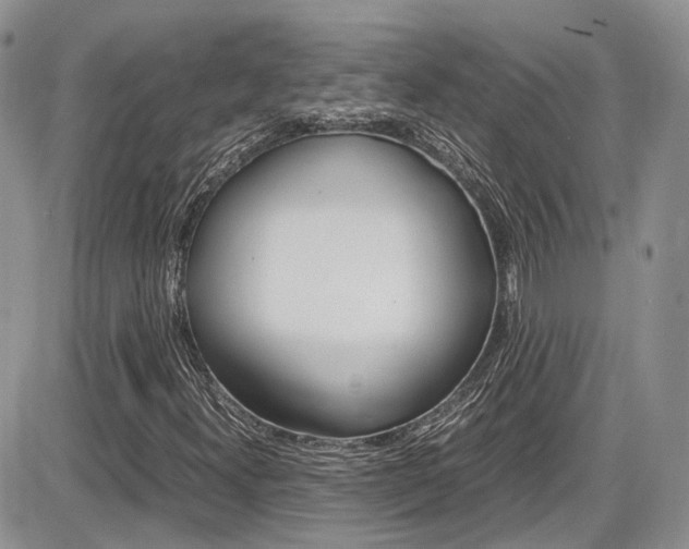 X0000086111300200703231106