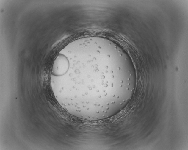 X0000086111302200703231106