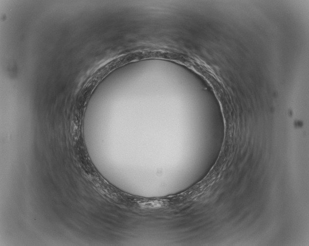 X0000086111303200703231106