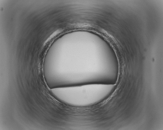 X0000086111306200703231106