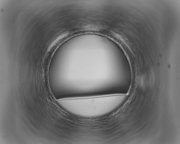X0000086111307200703231106