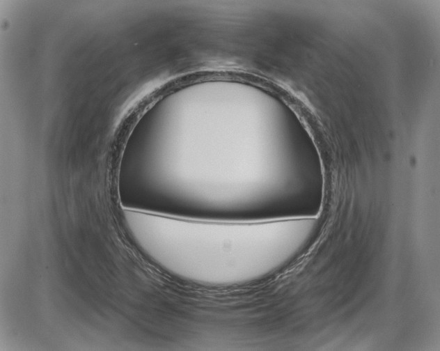 X0000086111311200703231106