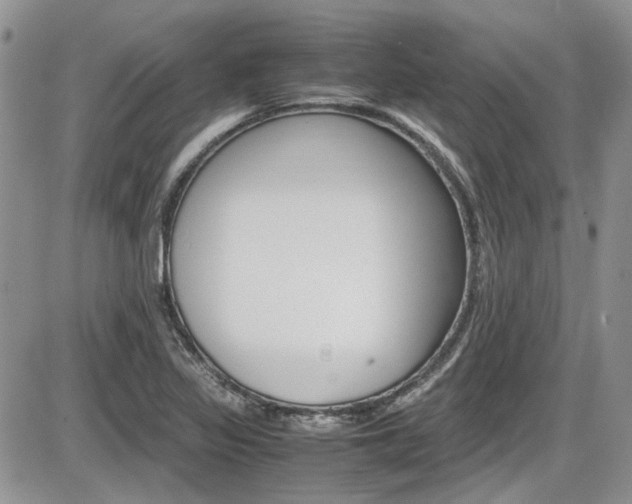 X0000086111317200703231106