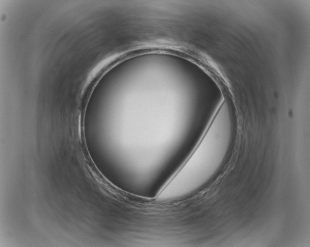 X0000086111320200703231106