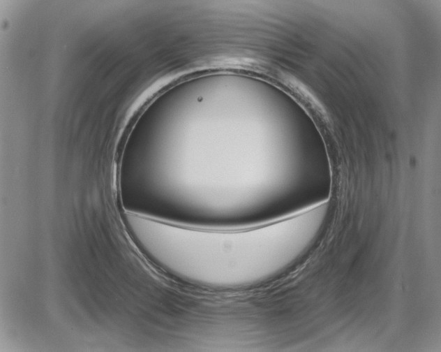 X0000086111324200703231106