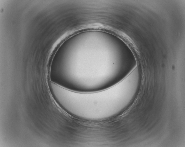 X0000086111326200703231106