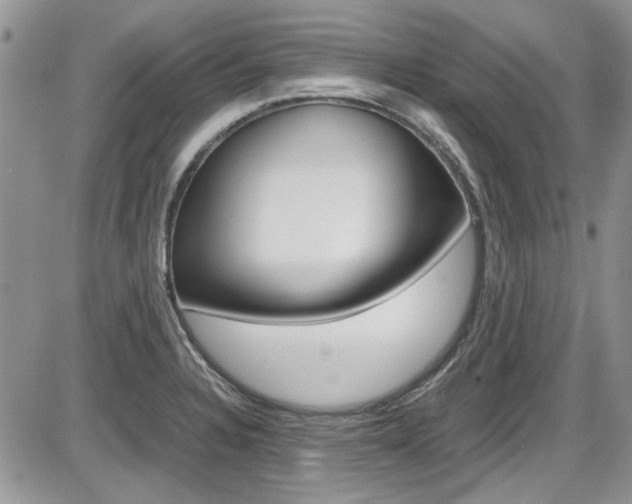 X0000086111328200703231106
