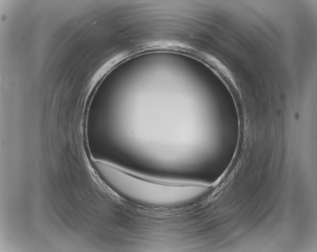 X0000086111330200703231106