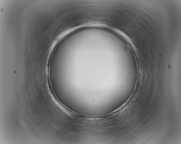 X0000086111335200703231106