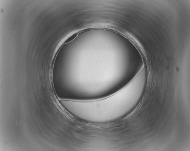 X0000086111340200703231106