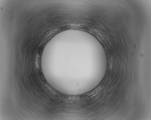 X0000086111346200703231106