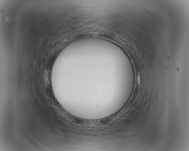 X0000086111347200703231106