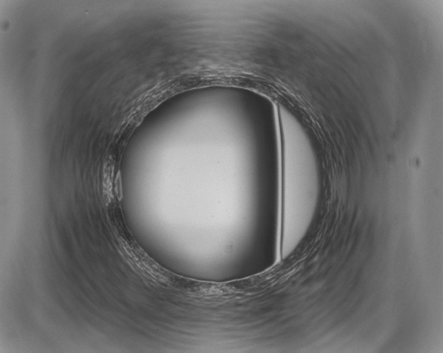 X0000086111348200703231106