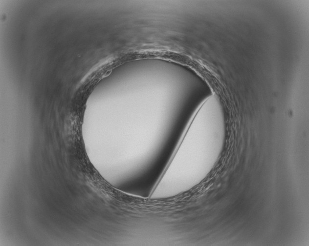 X0000086111351200703231106