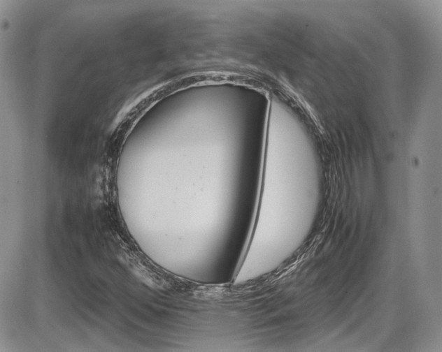X0000086111352200703231106