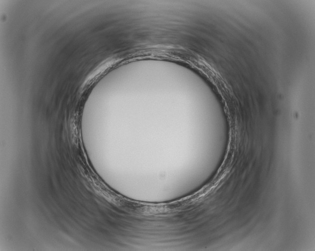 X0000086111354200703231106
