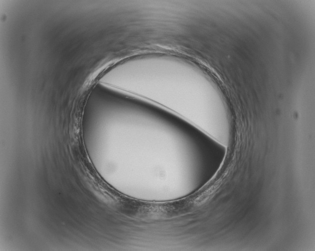 X0000086111355200703231106