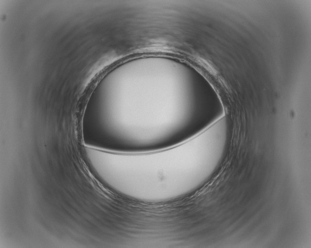 X0000086111356200703231106