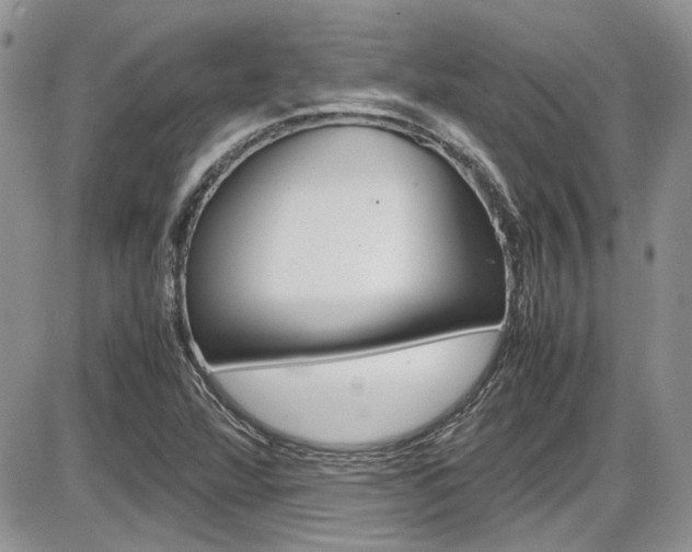 X0000086111360200703231105