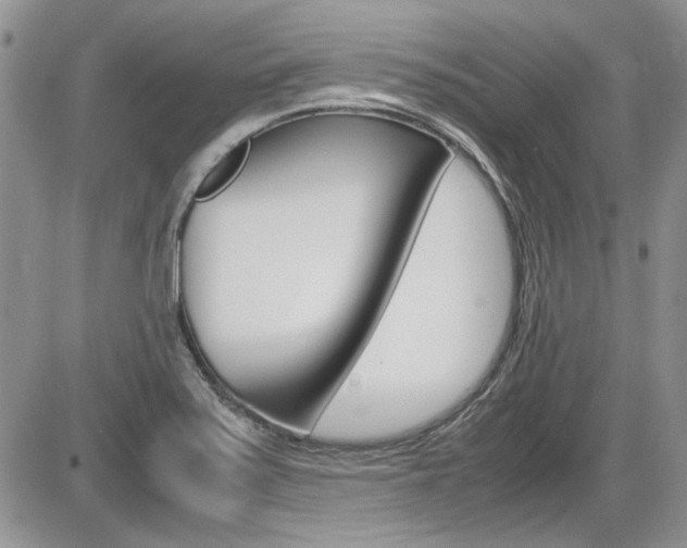 X0000086111371200703231105