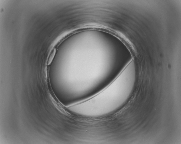X0000086111372200703231105