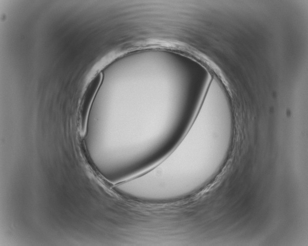 X0000086111373200703231105