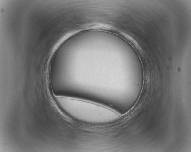 X0000086111375200703231105