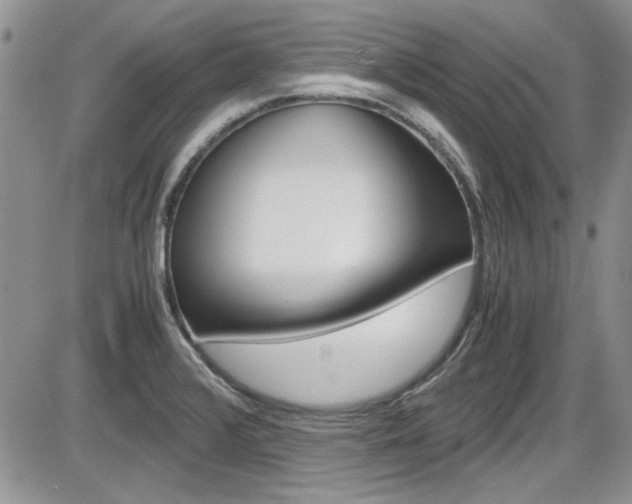 X0000086111376200703231105